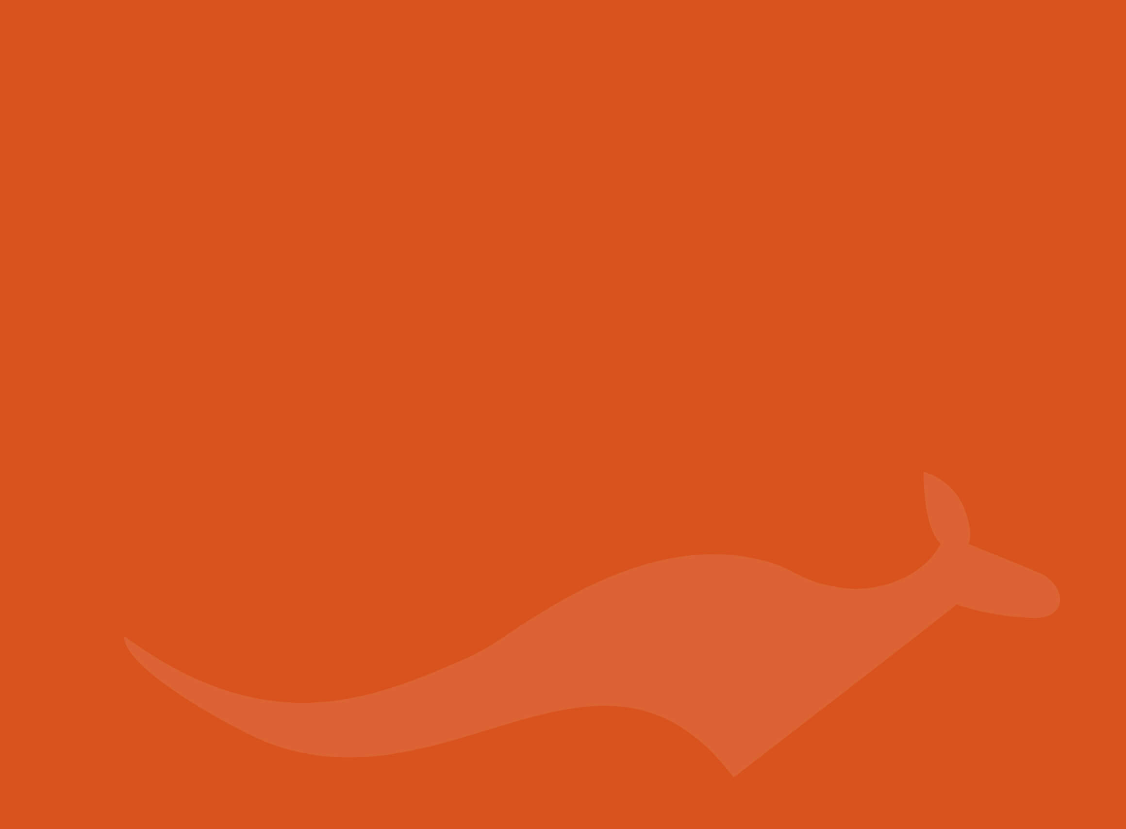 Wordpress Experts - Melbourne Wordpress Developers